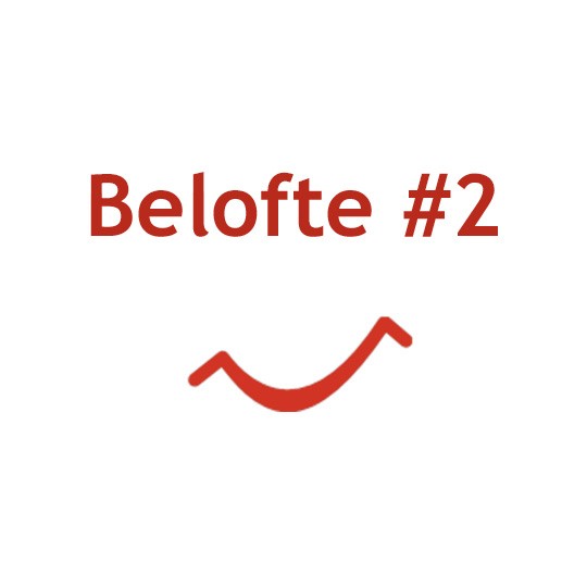 belofte 2 - Satisfaction guaranteed