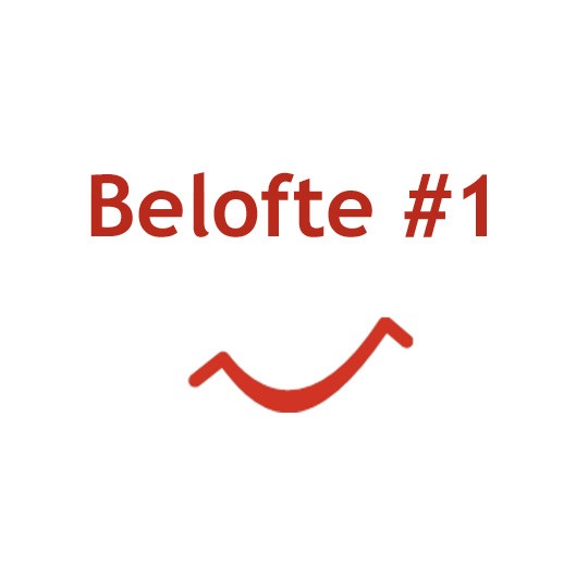 belofte 1 - Satisfaction guaranteed