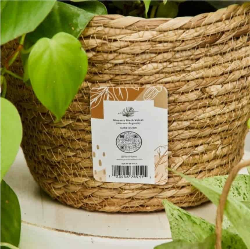Etiket op rieten plantenmand met barcode