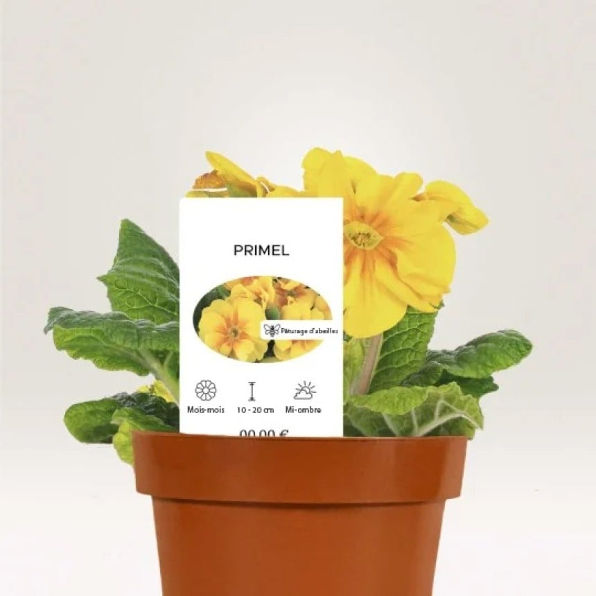Etiketten voor planten sfeerbeeld steeketiket