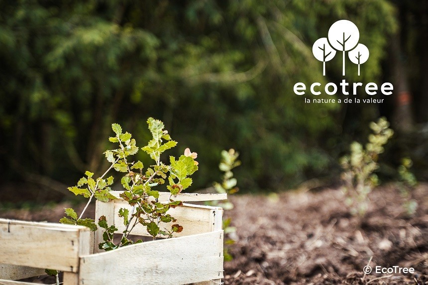 ecotree - partnership Avery recycled laser labels ecotree - partnership Avery recycled laser labels