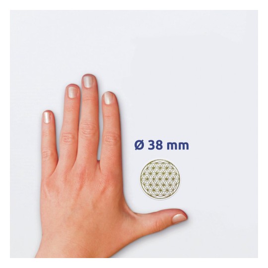 De afbeelding toont een hand met een diameter van een cirkel van 38 mm naast de hand.