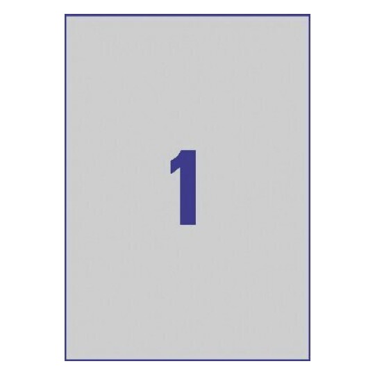 Inventaris etiketten L6013-20 210 x 297 mm