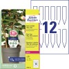 Steekkaartjes van duurzame folie T3005-10 Inhoud: 120 Kaarten / 10 Vellen